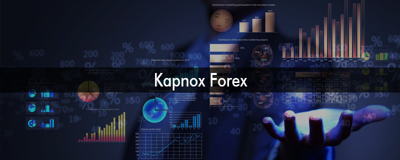 Kapnox Forex - Head Office 